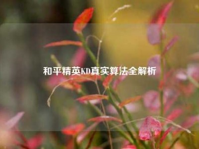和平精英KD真实算法全解析