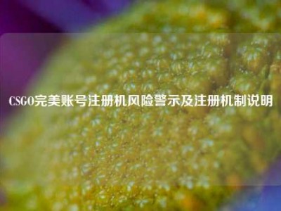 CSGO完美账号注册机风险警示及注册机制说明