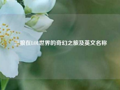 三狼在LOL世界的奇幻之旅及英文名称