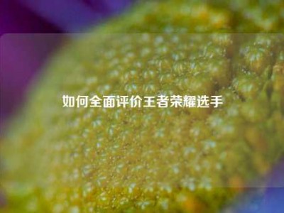 如何全面评价王者荣耀选手