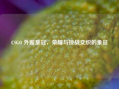 CSGO 外服皇冠，荣耀与挑战交织的象征