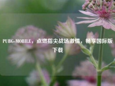 PUBG-MOBILE，点燃指尖战场     ，畅享国际版下载