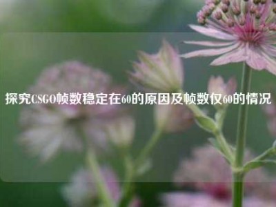 探究CSGO帧数稳定在60的原因及帧数仅60的情况
