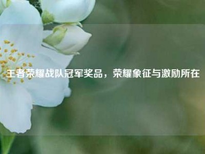 王者荣耀战队冠军奖品，荣耀象征与激励所在