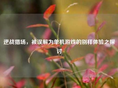 逆战猎场，被误解为单机游戏的别样体验之探讨