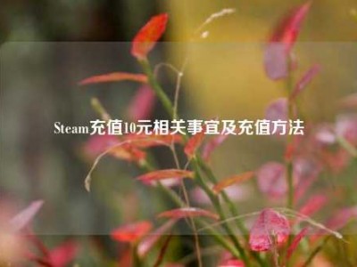 Steam充值10元相关事宜及充值     