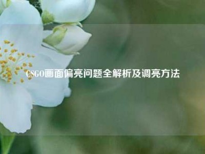 CSGO画面偏亮问题全解析及调亮     