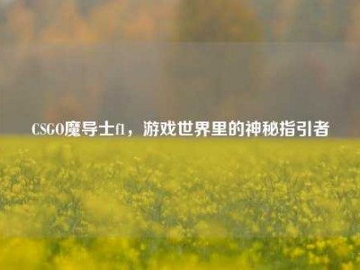 CSGO魔导士f1，游戏世界里的神秘指引者