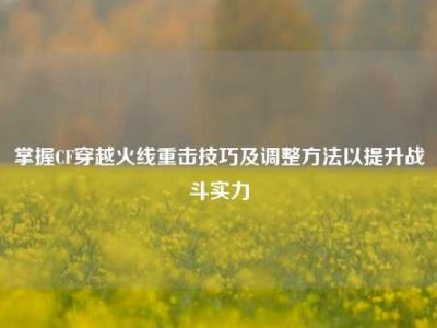 掌握CF穿越火线重击技巧及调整     以提升战斗实力