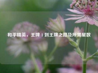 和平精英，王牌 1 到王牌之路及所需星数