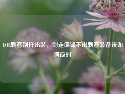 LOL刺客别样出装，剑走偏锋不出刺客装备该如何应对