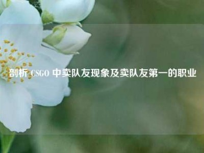 剖析 CSGO 中卖队友现象及卖队友之一的职业