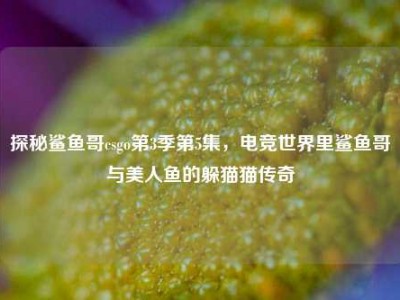 探秘鲨鱼哥csgo第3季第5集，电竞世界里鲨鱼哥与美人鱼的躲猫猫传奇