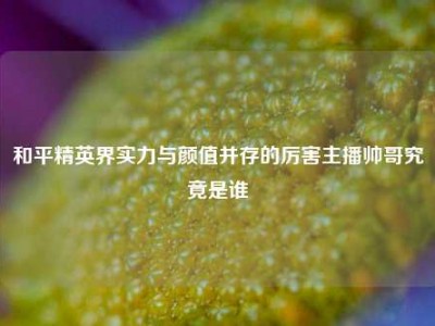 和平精英界实力与颜值并存的厉害主播帅哥究竟是谁