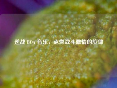 逆战 BOA 音乐，点燃战斗激情的旋律