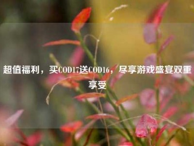 超值福利，买COD17送COD16，尽享游戏盛宴双重享受