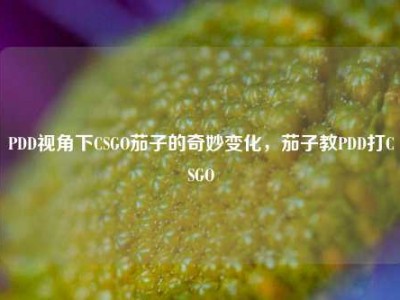 PDD视角下CSGO茄子的奇妙变化，茄子教PDD打CSGO