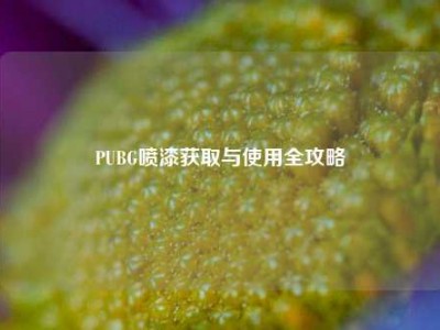 PUBG喷漆获取与使用全攻略