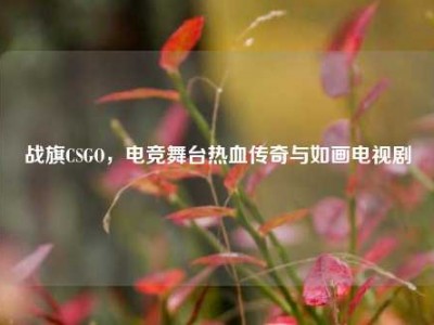 战旗CSGO，电竞舞台热血传奇与如画电视剧