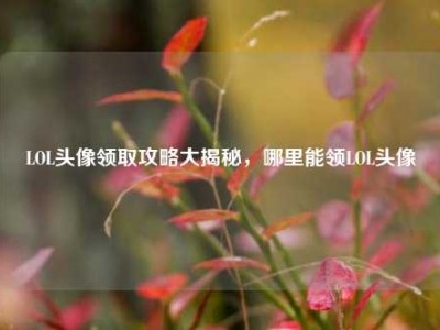 LOL头像领取攻略大揭秘，哪里能领LOL头像