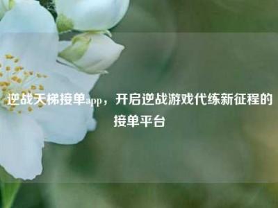 逆战天梯接单app，开启逆战游戏代练新征程的接单平台