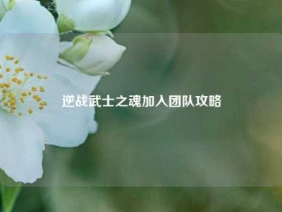 逆战武士之魂加入团队攻略