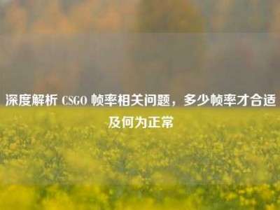 深度解析 CSGO 帧率相关问题，多少帧率才合适及何为正常