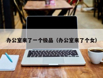 办公室来了一个极品（办公室来了个女）