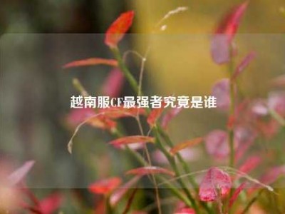 越南服CF最强者究竟是谁