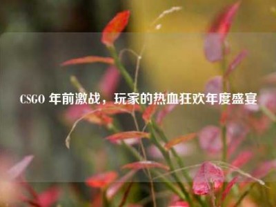 CSGO 年前激战，玩家的热血狂欢年度盛宴