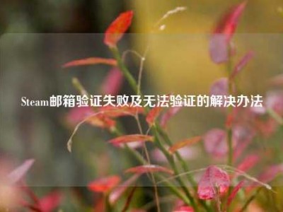 Steam邮箱验证失败及无法验证的解决办法