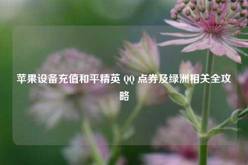 苹果设备充值和平精英 QQ 点券及绿洲相关全攻略