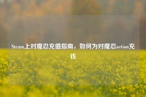 Steam上对魔忍充值指南，如何为对魔忍action充钱