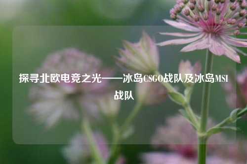探寻北欧电竞之光——冰岛CSGO战队及冰岛MSI战队