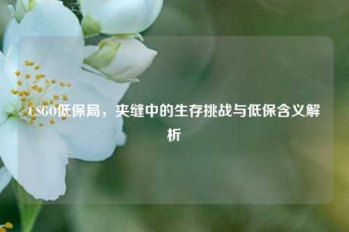CSGO低保局，夹缝中的生存挑战与低保含义解析