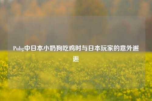 Pubg中日本小奶狗吃鸡时与日本玩家的意外邂逅