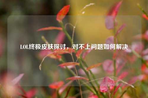 LOL终极皮肤探讨，对不上问题如何解决
