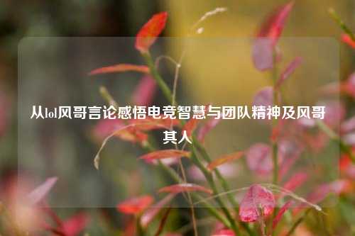 从lol风哥言论感悟电竞智慧与团队精神及风哥其人