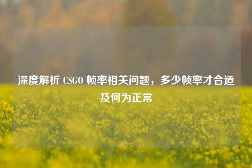 深度解析 CSGO 帧率相关问题，多少帧率才合适及何为正常