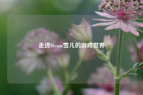 走进Steam雪儿的游戏世界