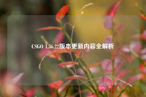 CSGO 1.36.22版本更新内容全解析