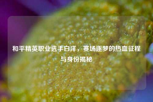 和平精英职业选手白洋，赛场逐梦的热血征程与身份揭秘