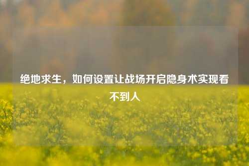 绝地求生，如何设置让战场开启隐身术实现看不到人