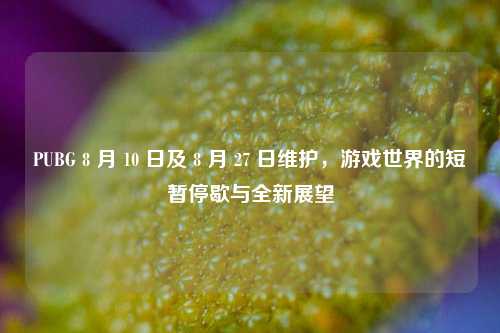 PUBG 8 月 10 日及 8 月 27 日维护，游戏世界的短暂停歇与全新展望
