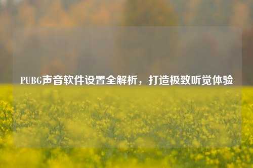 PUBG声音软件设置全解析，打造极致听觉体验
