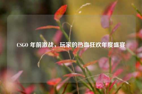 CSGO 年前激战,玩家的热血狂欢年度盛宴