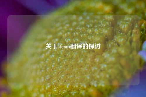 关于steam翻译的探讨