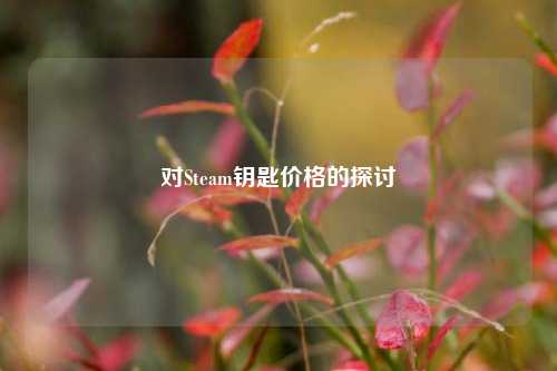 对Steam钥匙价格的探讨