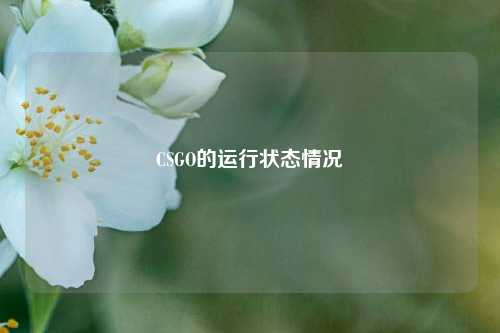 CSGO的运行状态情况
