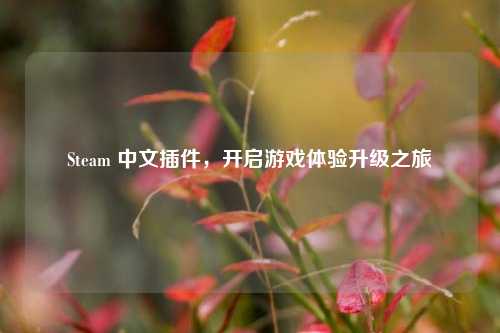 Steam 中文插件，开启游戏体验升级之旅